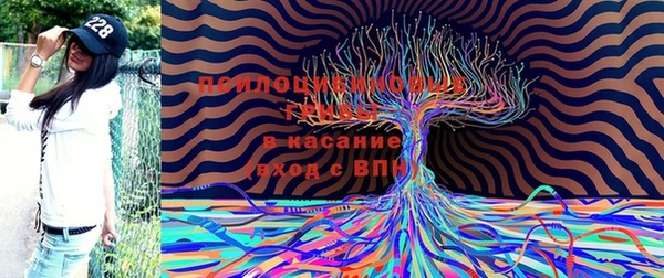 соль ск Майский