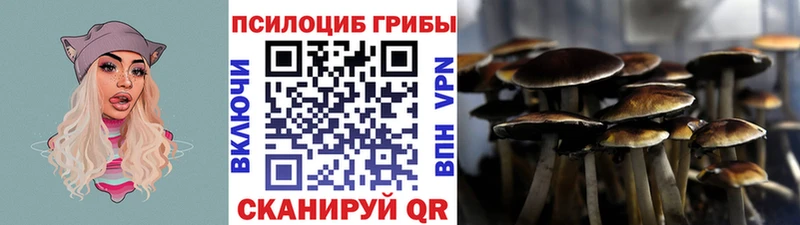 Галлюциногенные грибы Psilocybine cubensis  где найти наркотики  Муравленко 